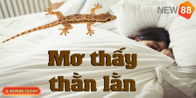 Nằm mơ thấy thằn lằn cùng những điềm báo tâm linh Nằm mơ thấy thằn lằn cùng những điềm báo tâm linh